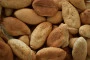 Sapori e Fedeli